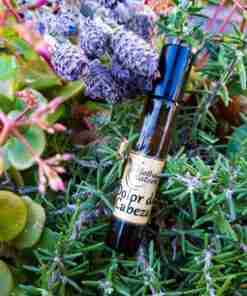 Aceite esencial entre plantas aromáticas.