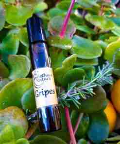 Aceite esencial "Gripes" entre plantas.