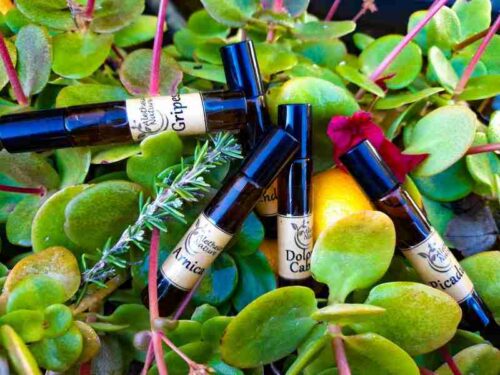 Aceites esenciales entre plantas y cítricos.