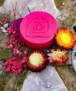 chakra 1 muladhara chakra raiz color rojo3