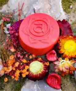 chakra 2 svadhisthana chakra del sacro color naranja2