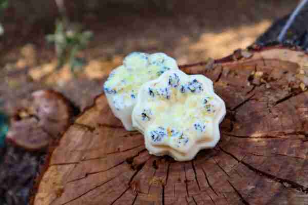 champu cabello seco1