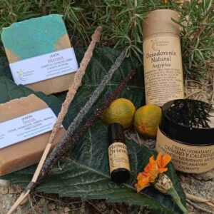 pack_brahma (3) Productos cosméticos naturales sobre hojas verdes.