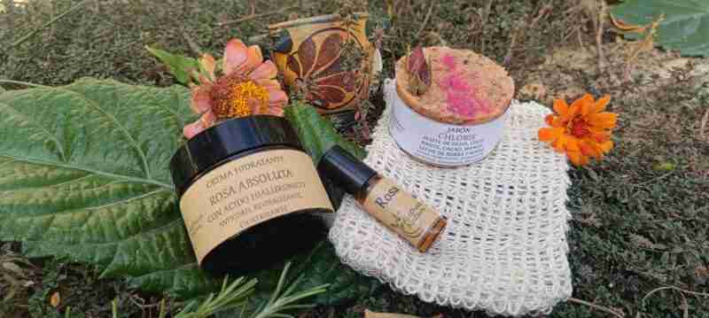 Productos cosméticos naturales con flores y hojas.