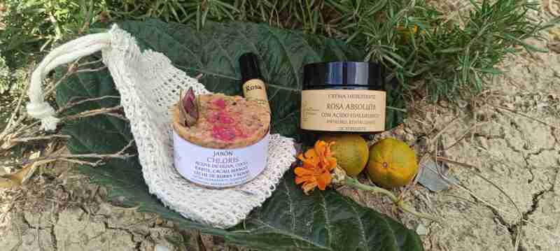 Productos cosméticos naturales sobre hojas verdes.