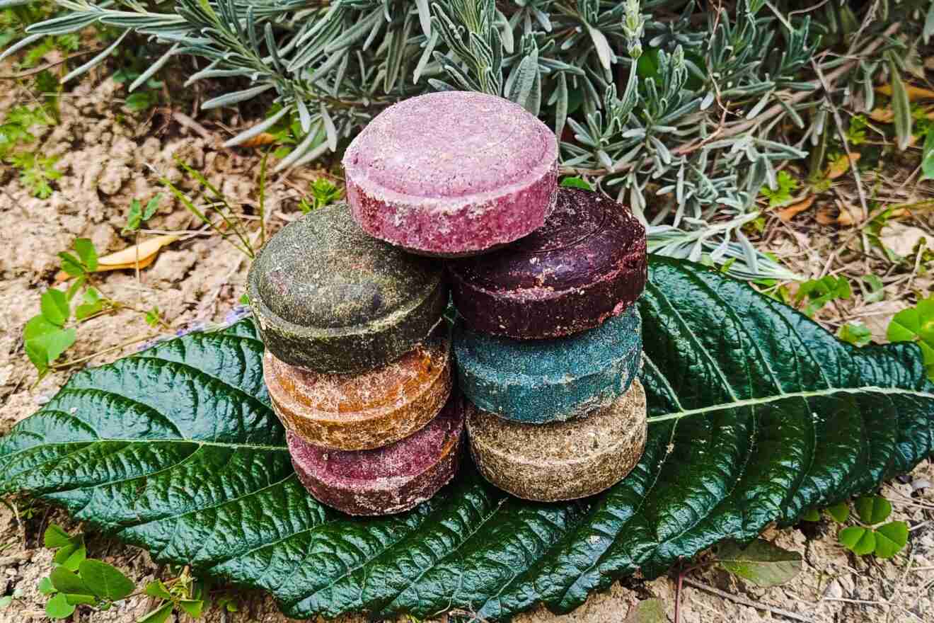 Champús sólidos apilados sobre hoja verde.