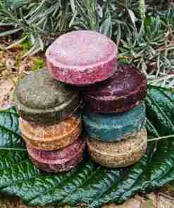 Champús sólidos apilados sobre hoja verde.