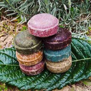 Champús sólidos apilados sobre hoja verde.