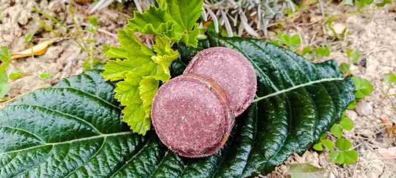 Champú Sólido Hibiscus Power