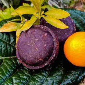 Naranja y remolacha sobre hoja verde.