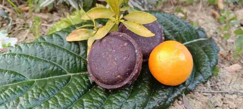 Naranja y remolacha sobre hoja verde.
