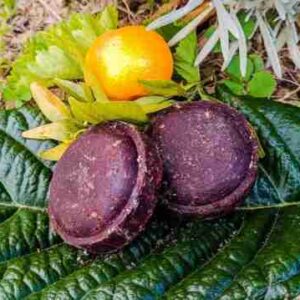 Mandarina y cacao sobre hojas verdes.