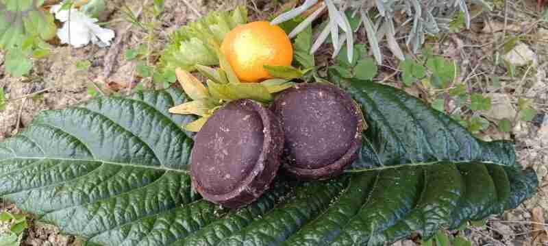 Mandarina y cacao sobre hojas verdes.