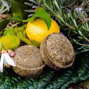 Frutas y hojas sobre suelo forestal.