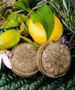 Cítricos y plantas aromáticas en tierra.